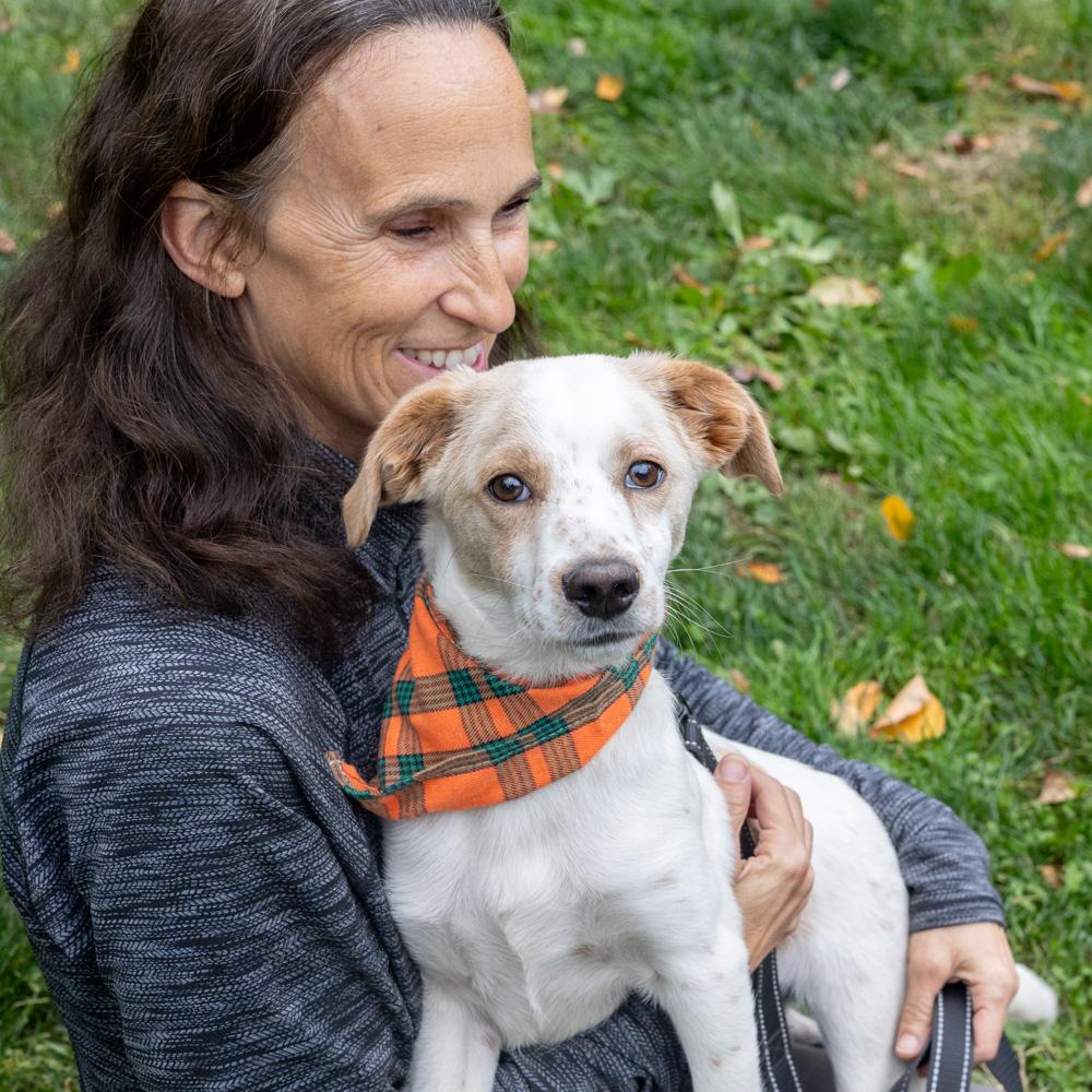 Freckles (Male), a Adoptable mixed breed in West Grove, PA image 2/6