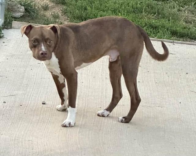 Courtesy Posting Bruno