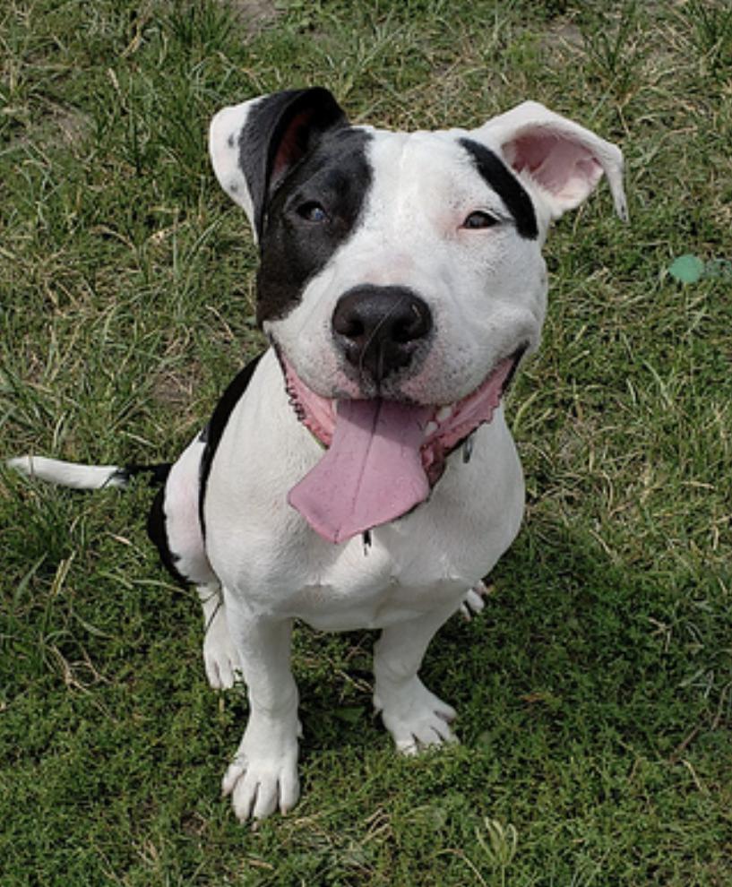 April — thumbnail 5