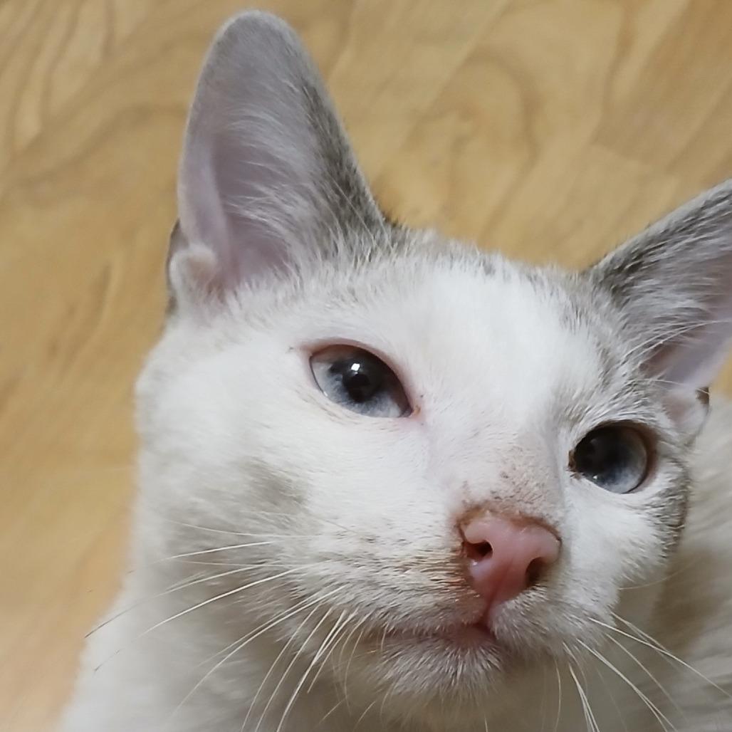 Mike — thumbnail 3