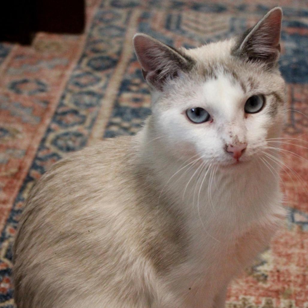 Mike — thumbnail 4