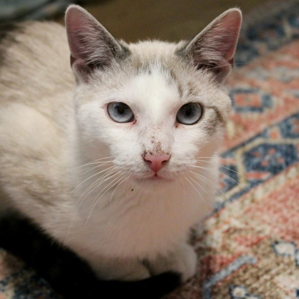 Mike — thumbnail 5