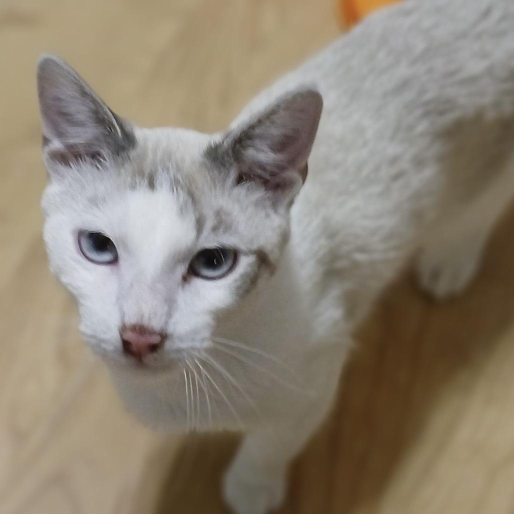 Mike — thumbnail 6