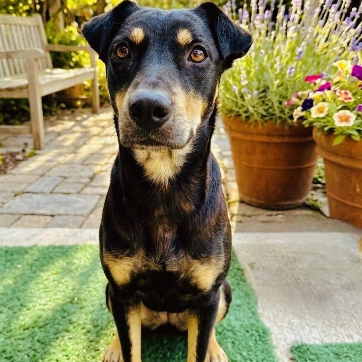 Casper — thumbnail 3