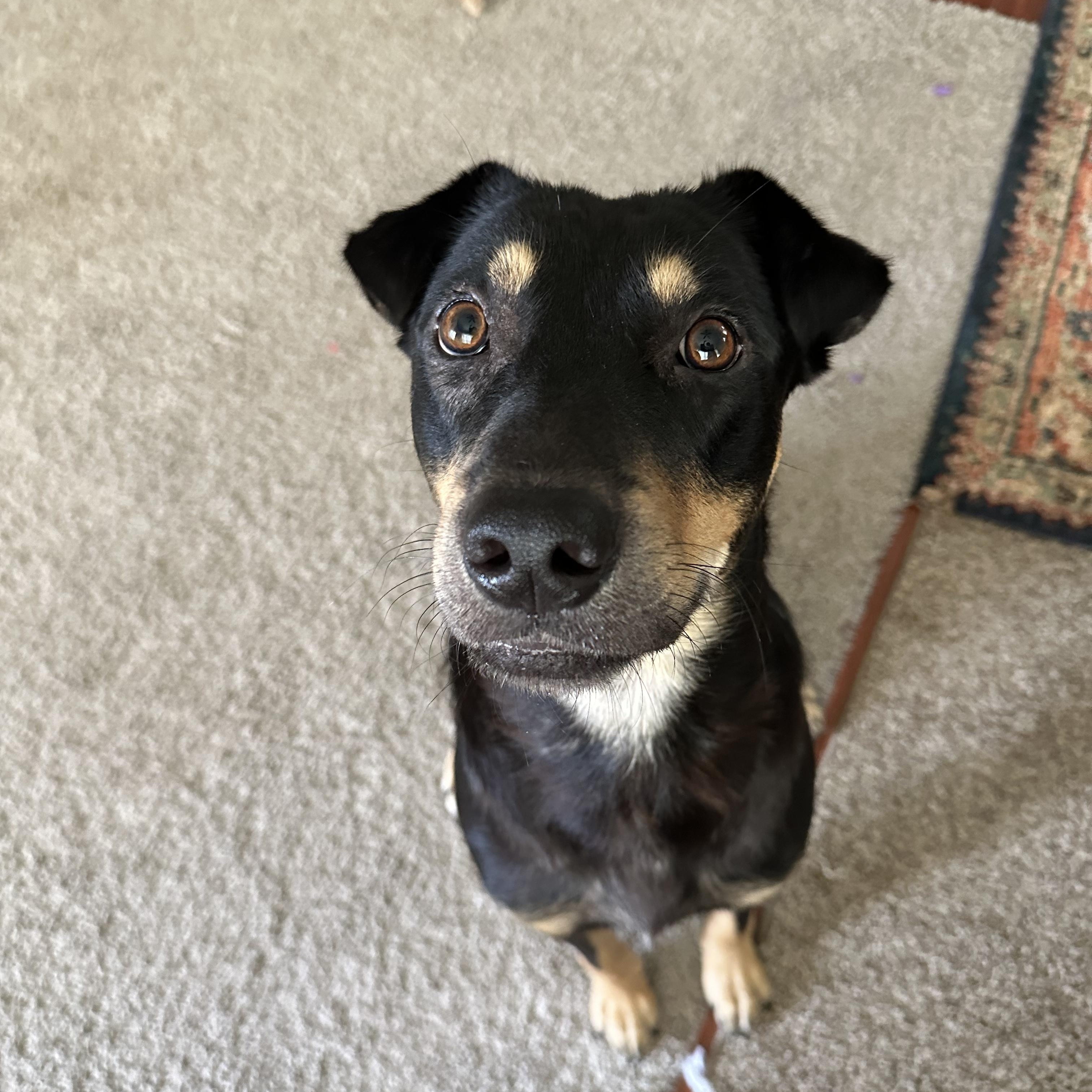 Casper — thumbnail 4