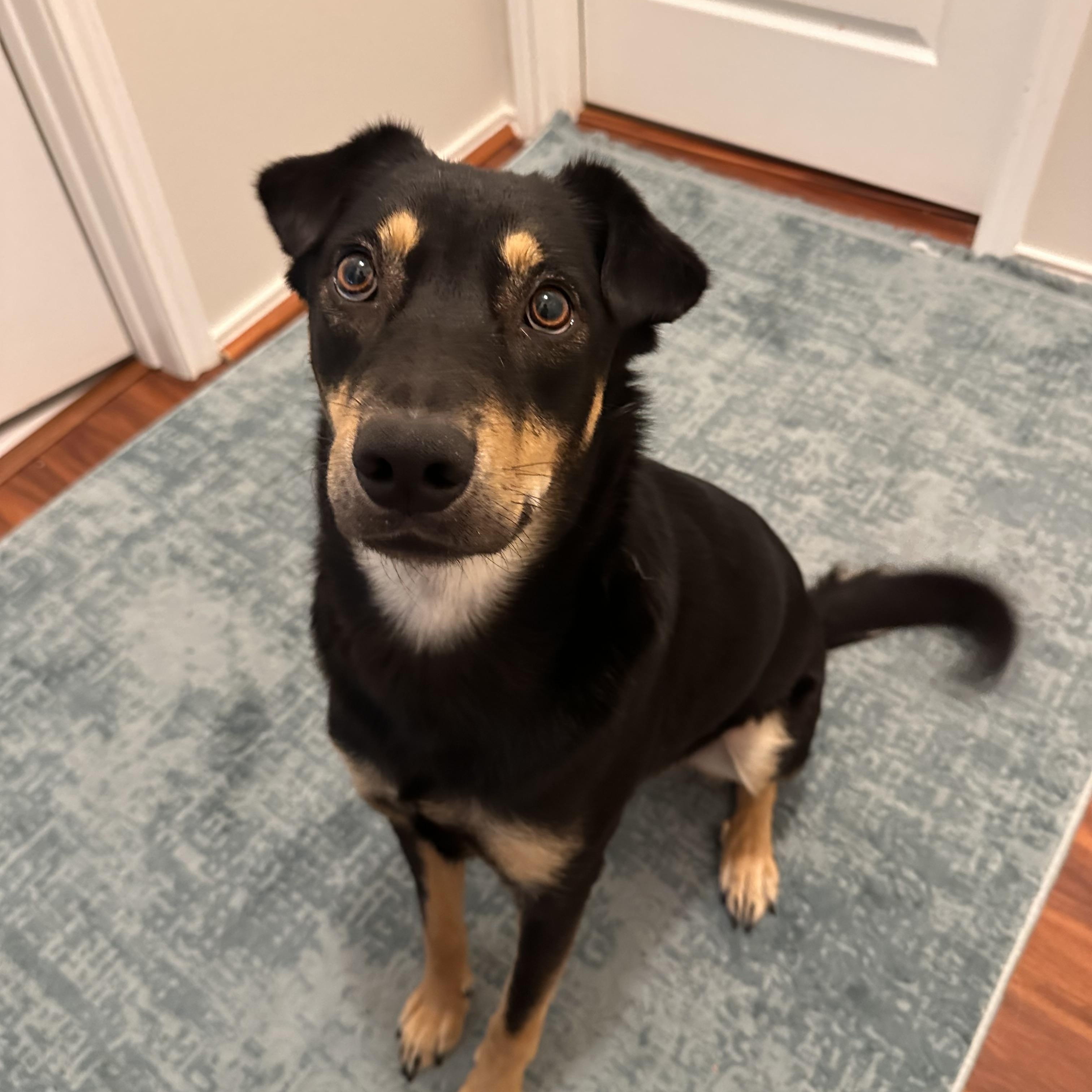 Casper — thumbnail 5