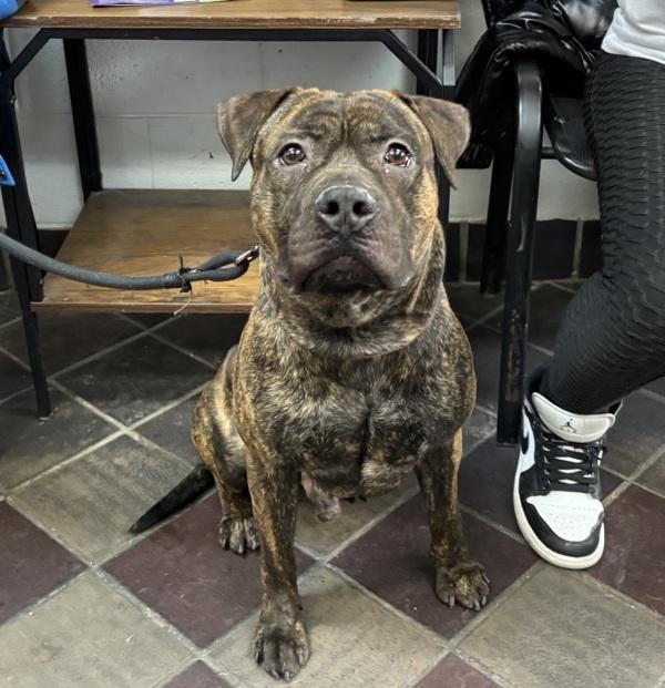 Hockey — thumbnail 5