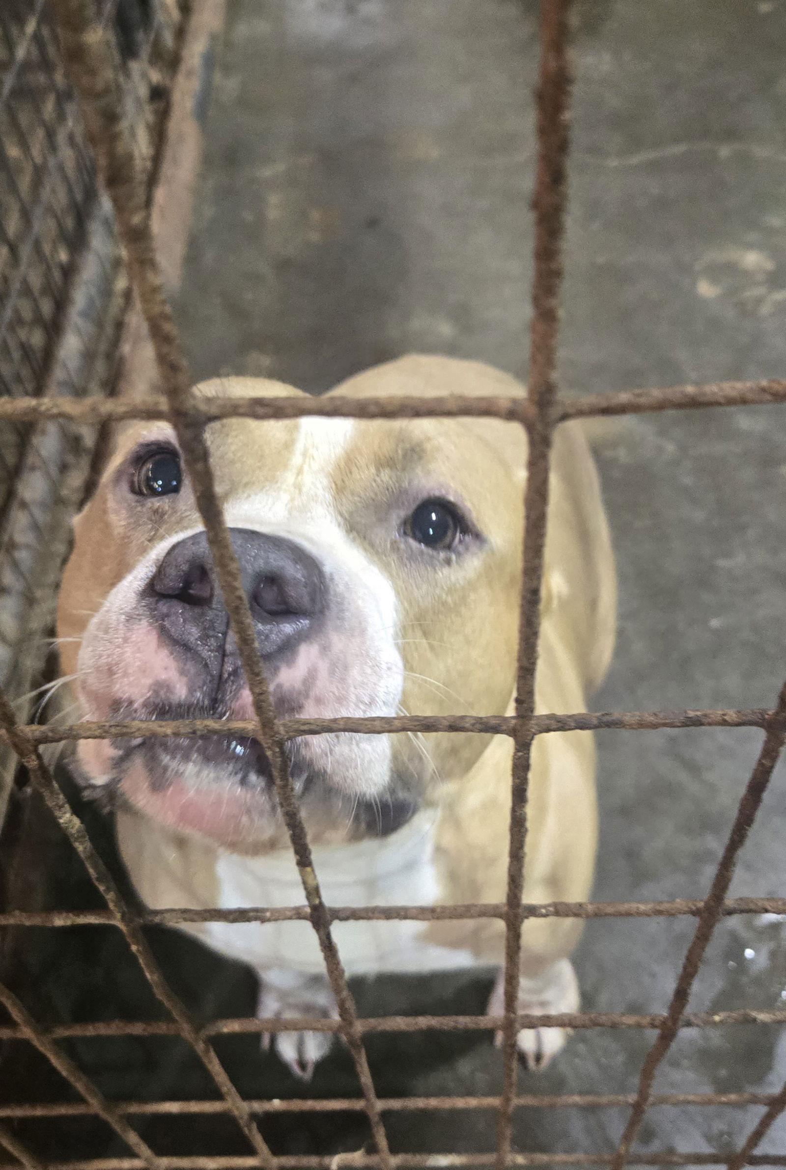 Grateful — thumbnail 2