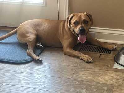 Theo **Courtesy Post**