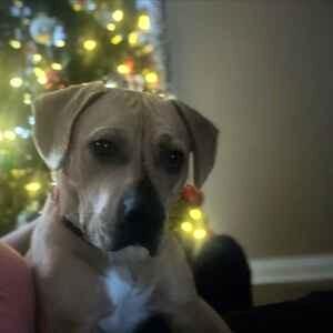 Theo **Courtesy Post**