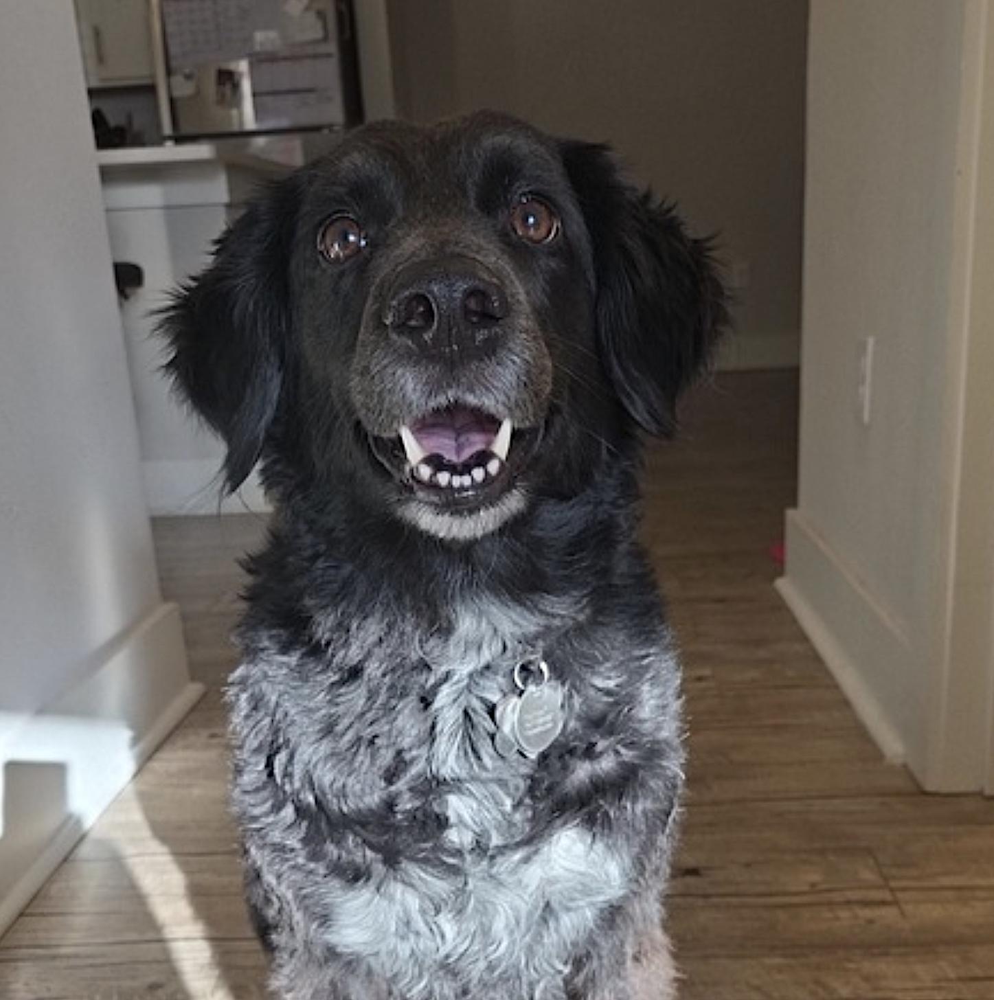 Cacao — thumbnail 2