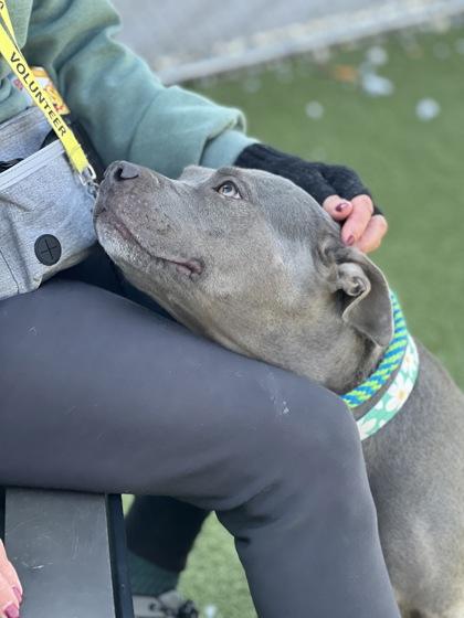 Trudy Judy — thumbnail 3