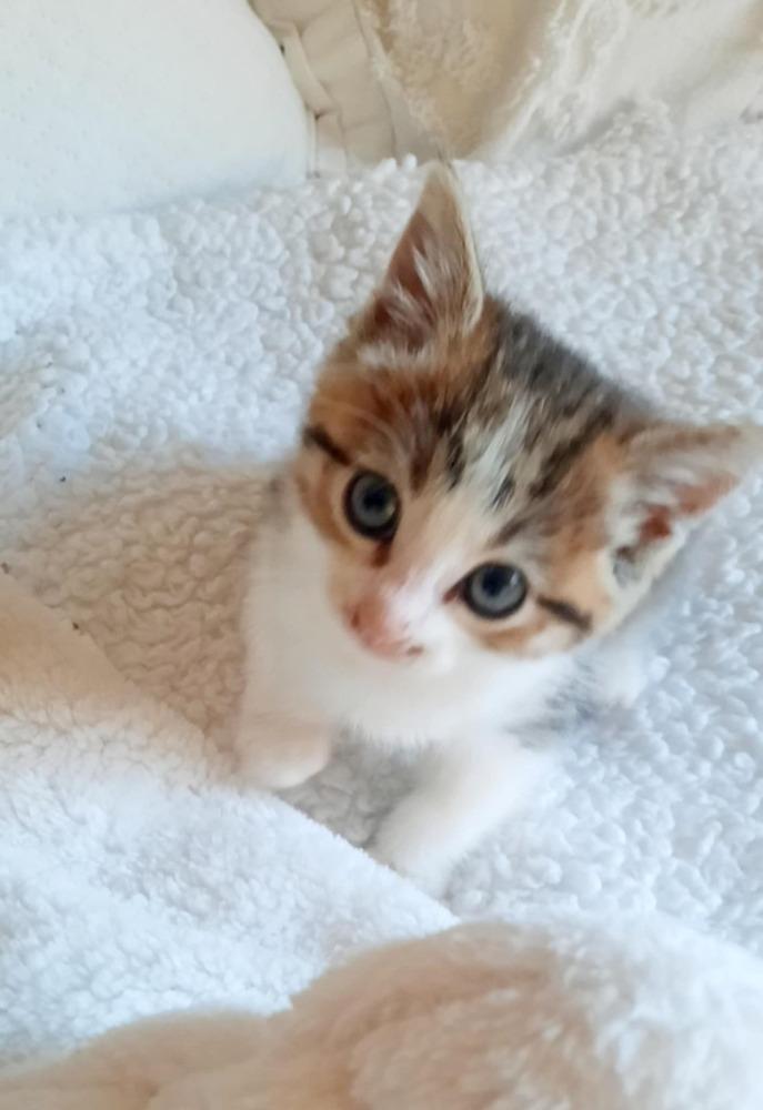 Princess thumbnail 2