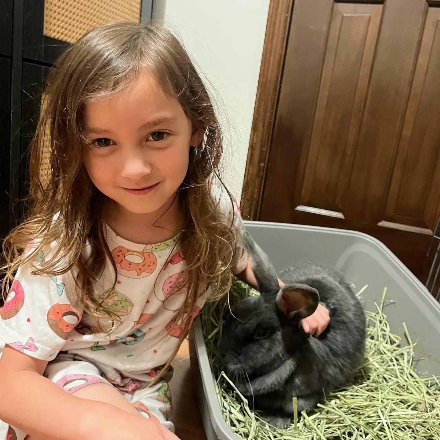 Enlarge Sherlock Bunz, a Adoptable mixed breed in Little Rock, AR image 2/4