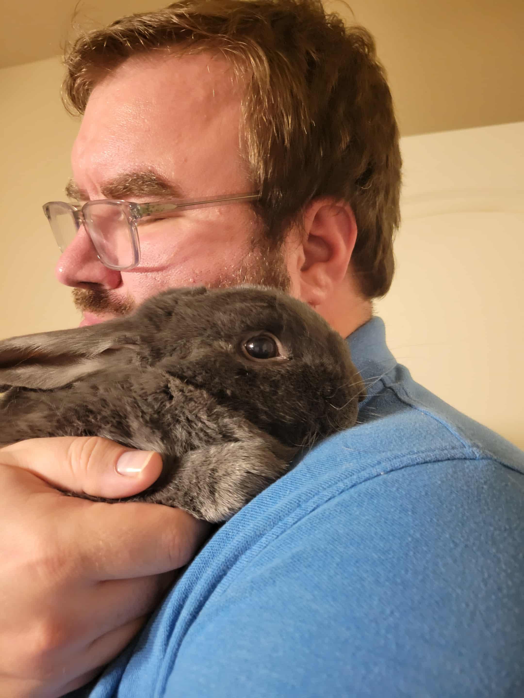 Enlarge Sherlock Bunz, a Adoptable mixed breed in Little Rock, AR image 4/4