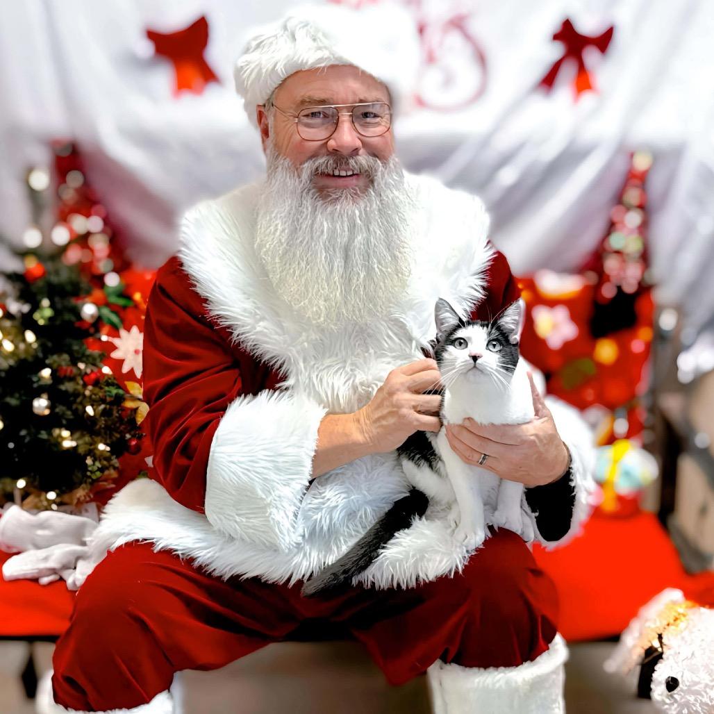 Wubz — thumbnail 2