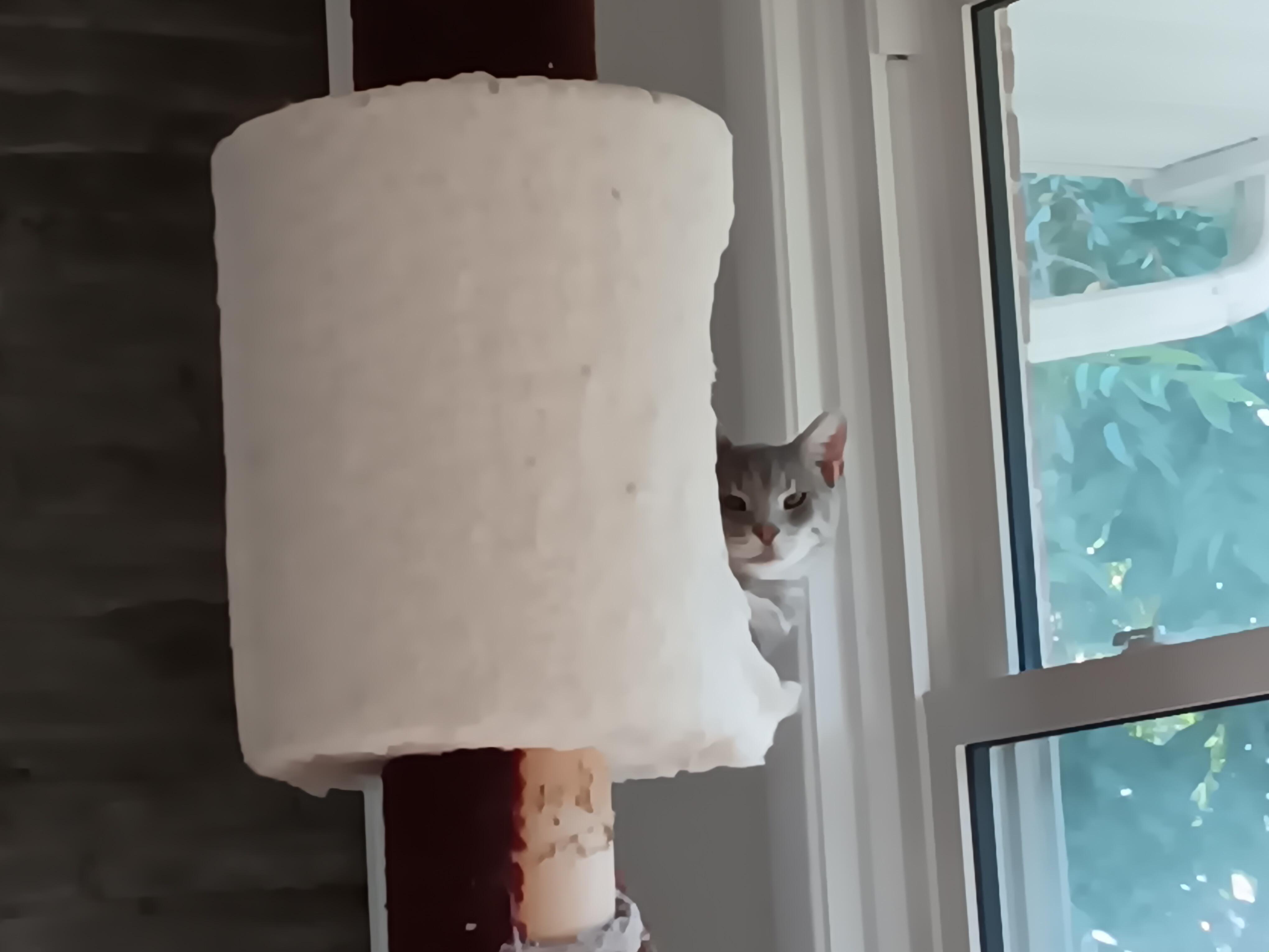 Marshallc thumbnail 4