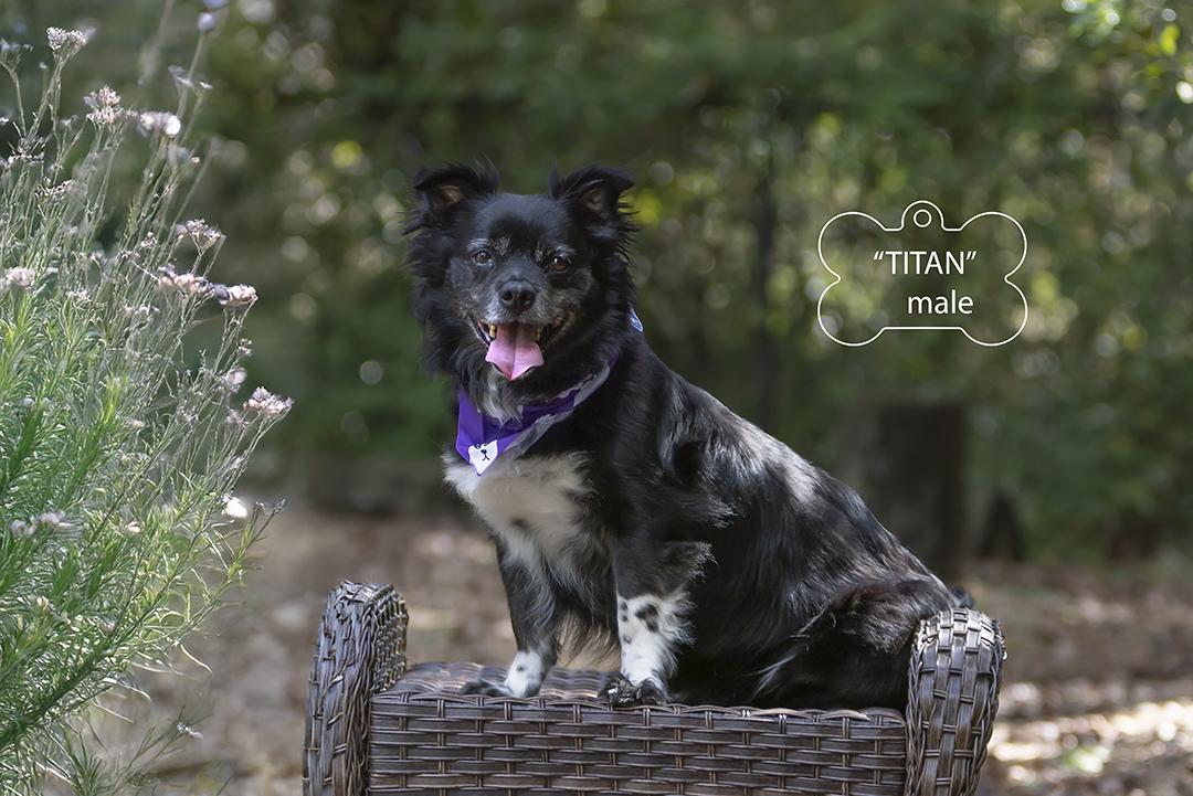 Titan
