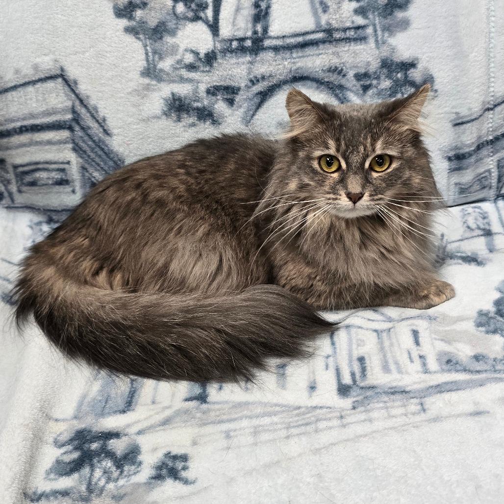 Mouse — thumbnail 3