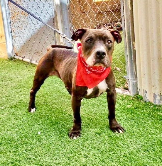 Luna Lina — thumbnail 4