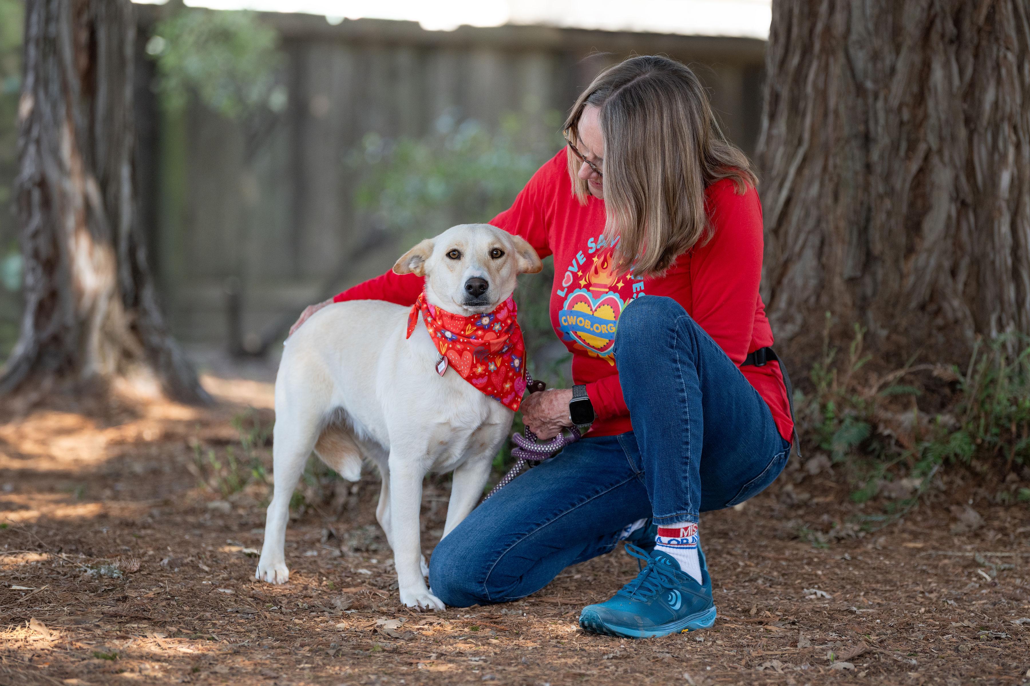 Enlarge Sofia, a ADOPTABLE mixed breed in Santa Rosa, CA image 2/4