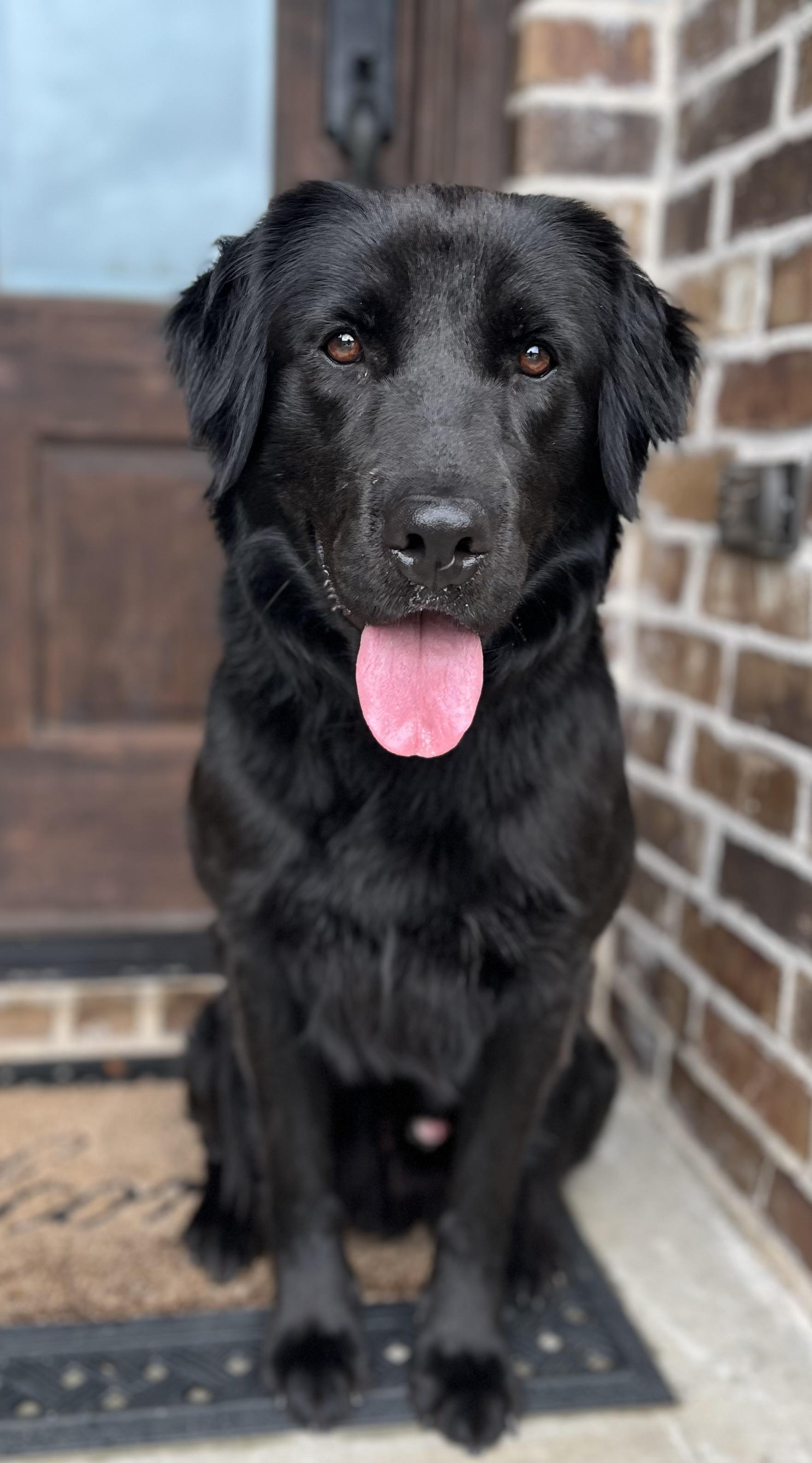 Hurley, Adult Male unknown