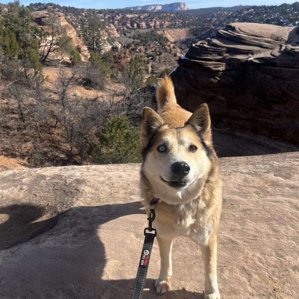 Abby Cadabby — thumbnail 2