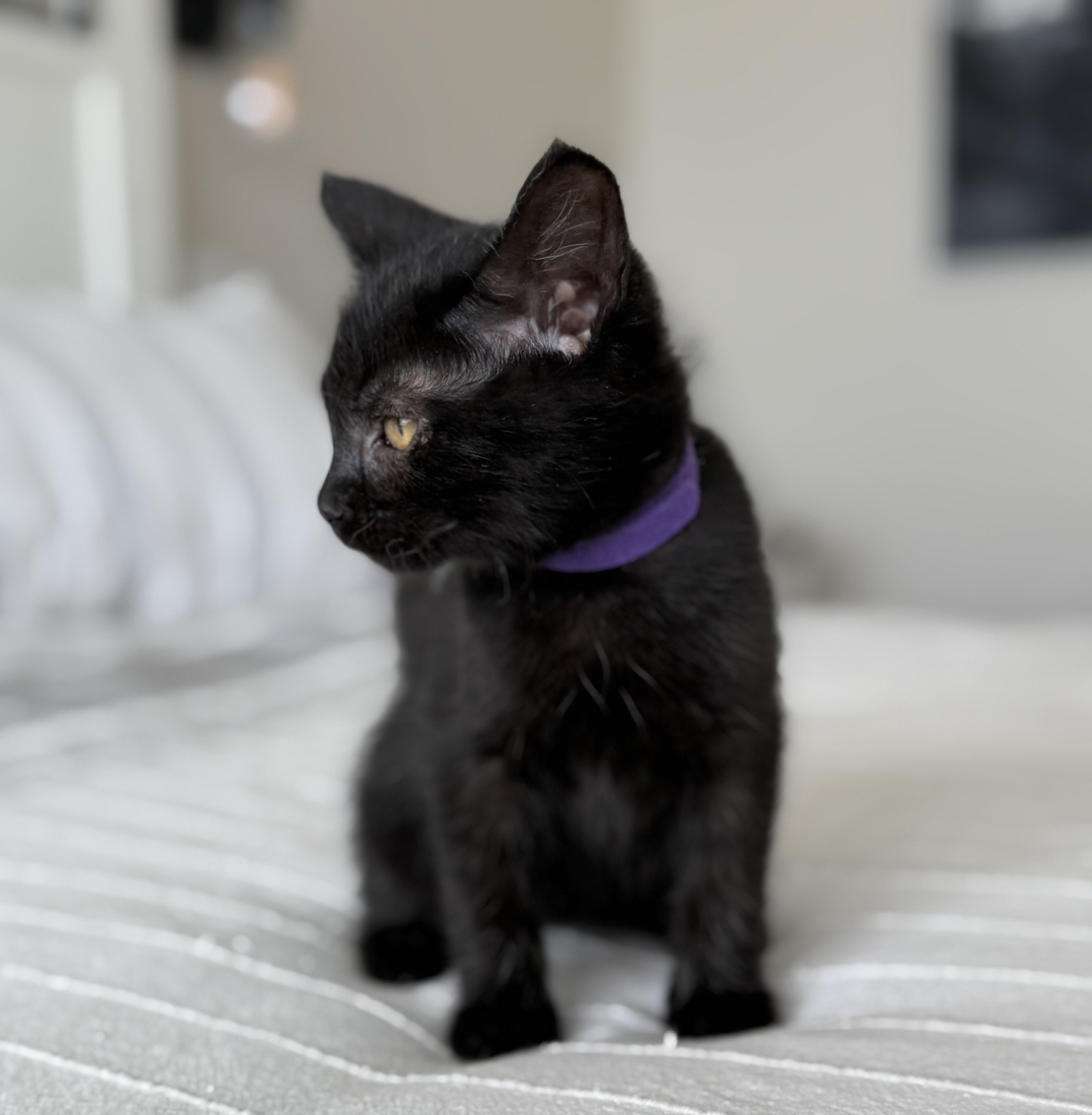 Zoe photo 2