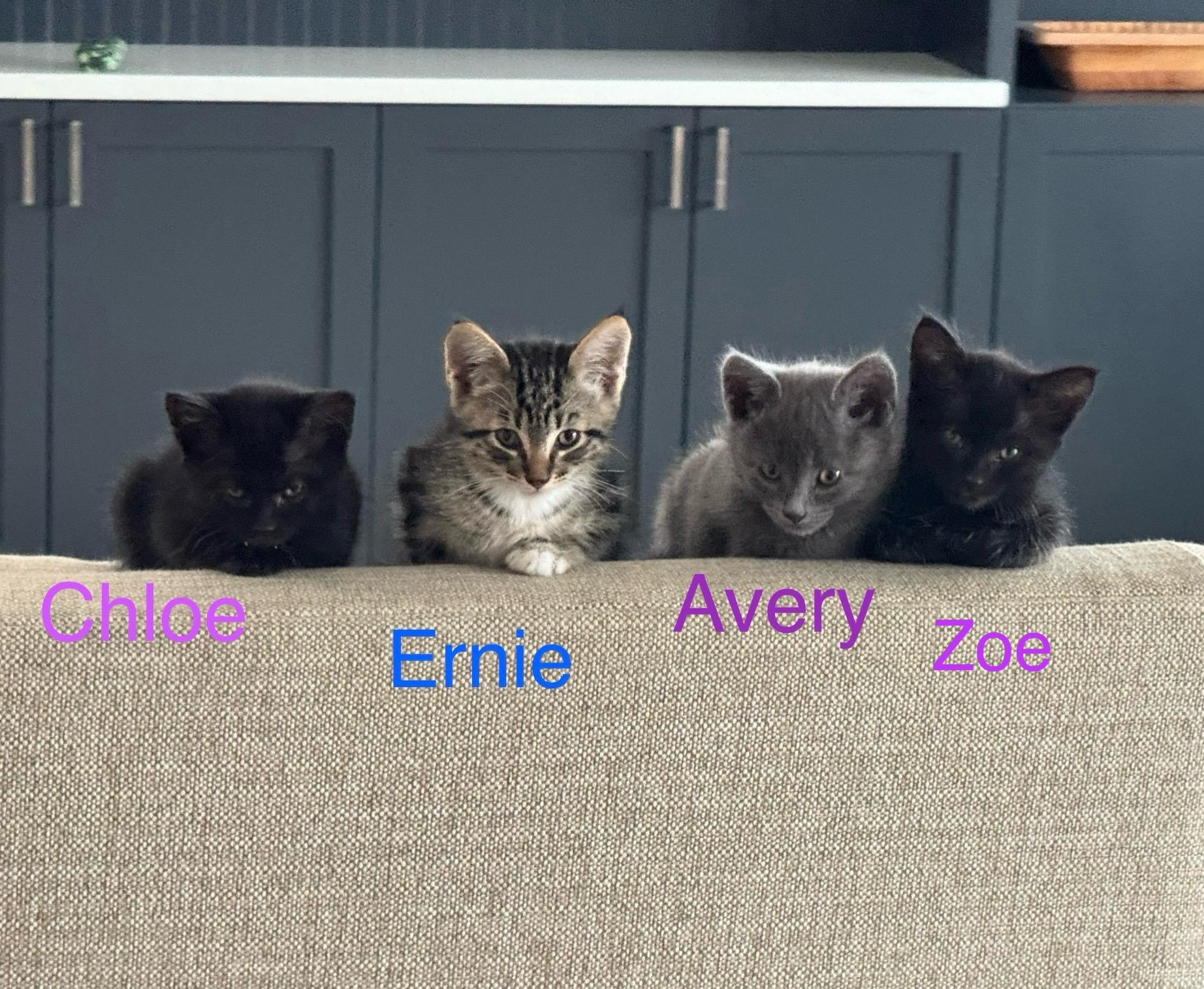 Zoe photo 3