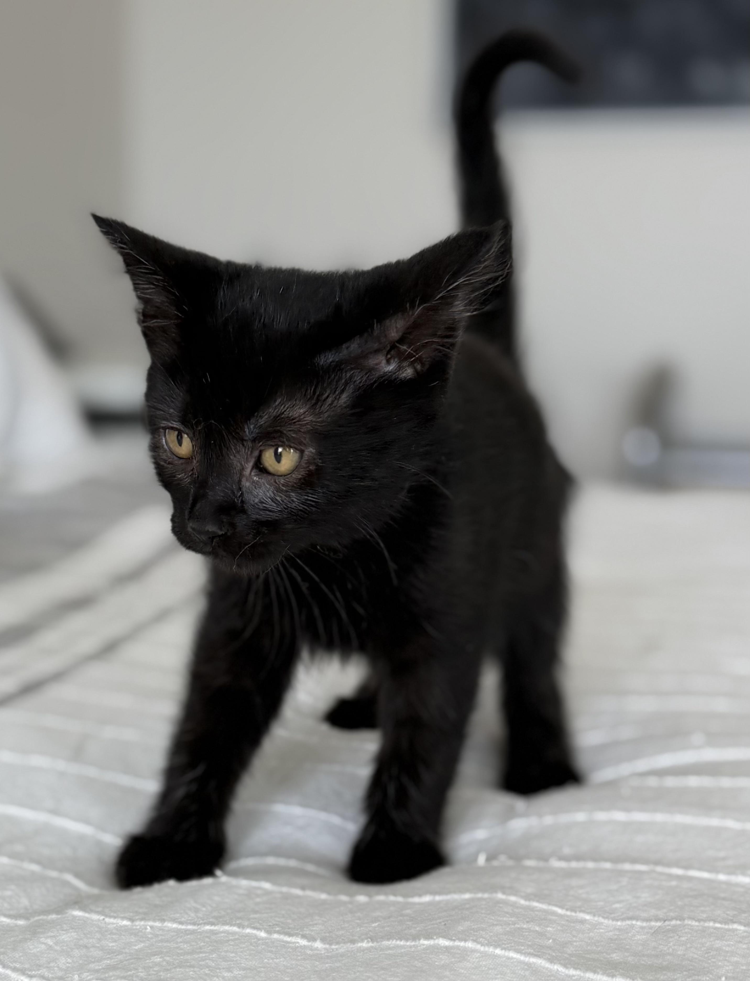 Zoe