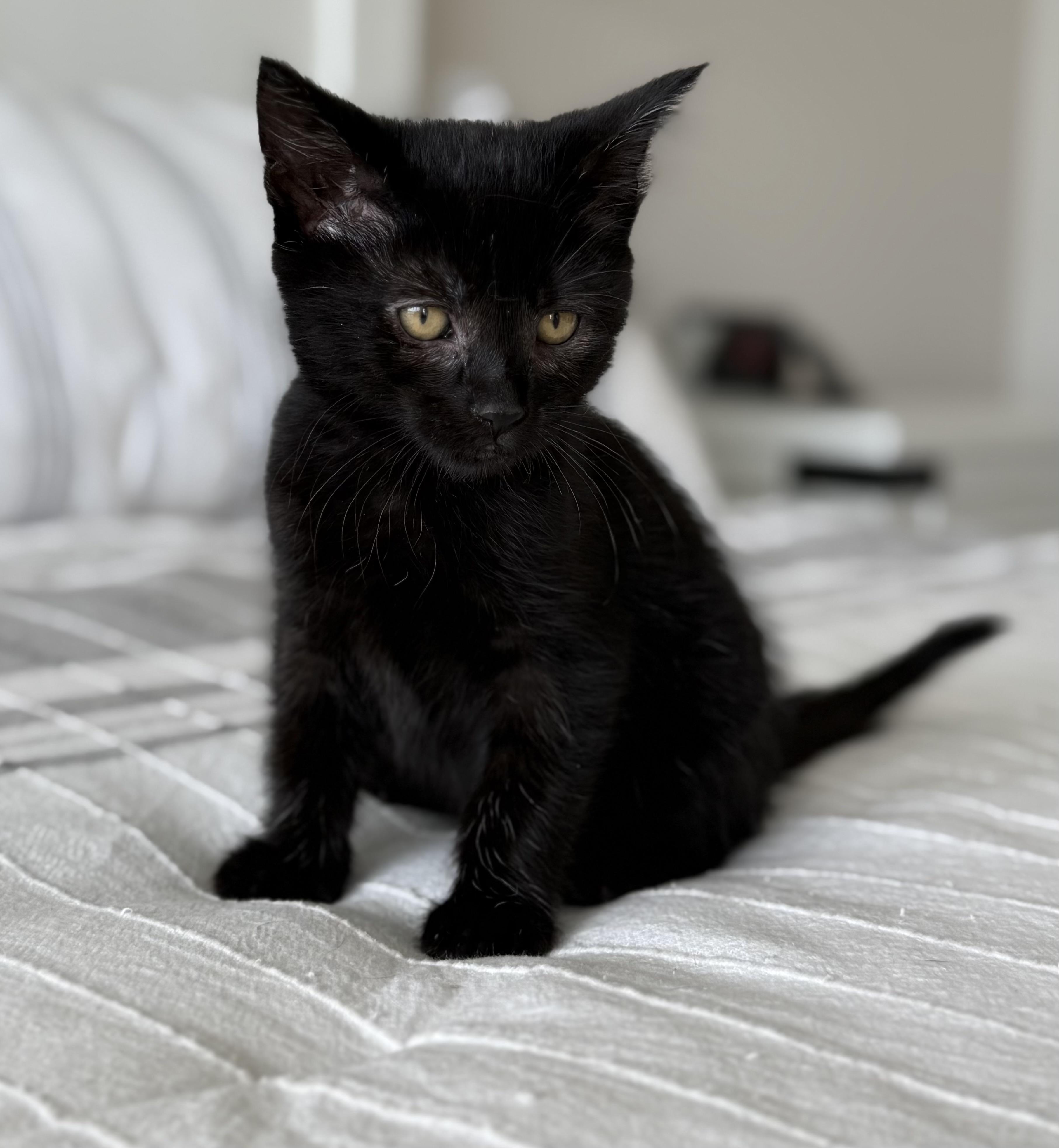 Zoe photo 4