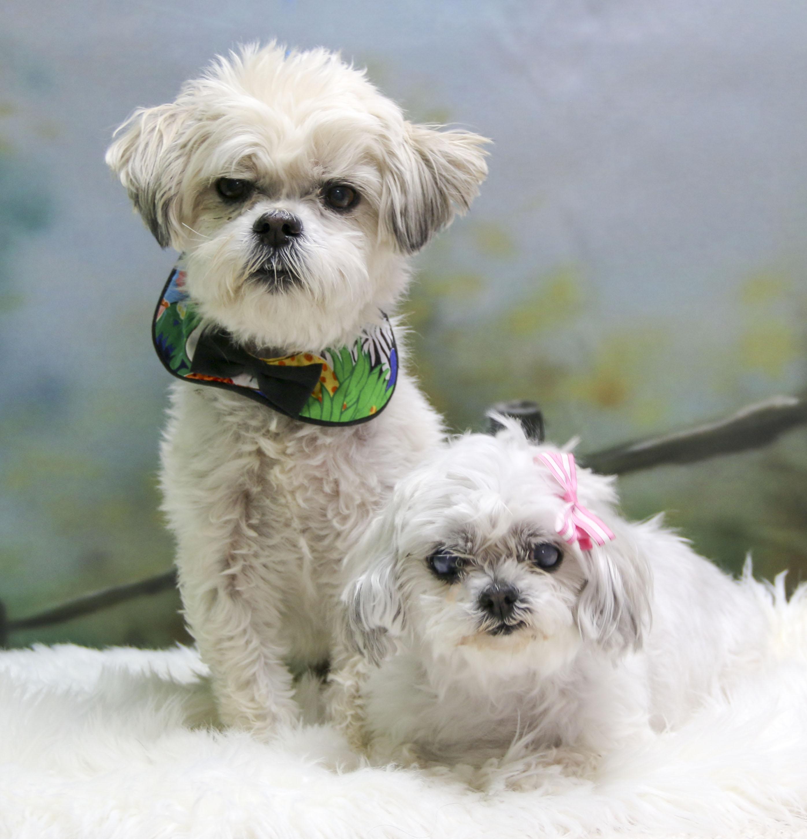 Luke and Paisley Rae -- Bonded Pair