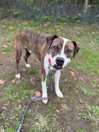 Marko — thumbnail 3