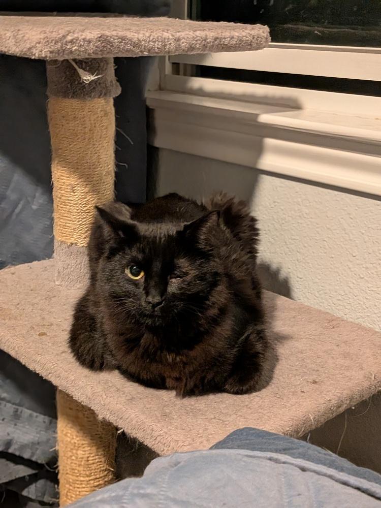 Big Mike — thumbnail 4