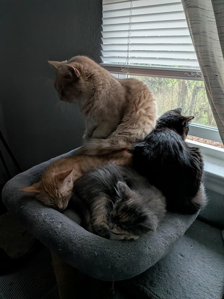 Big Mike — thumbnail 5