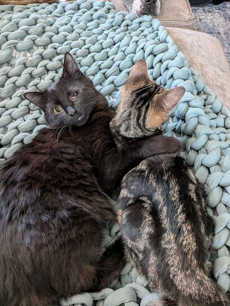 Big Mike — thumbnail 6