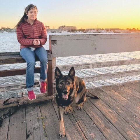 Enlarge Trixie, a Adoptable German Shepherd Dog in Oakland, CA image 1/3