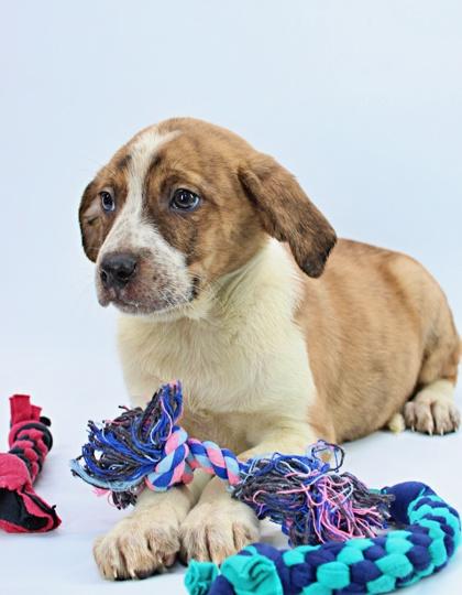 Grace — thumbnail 2