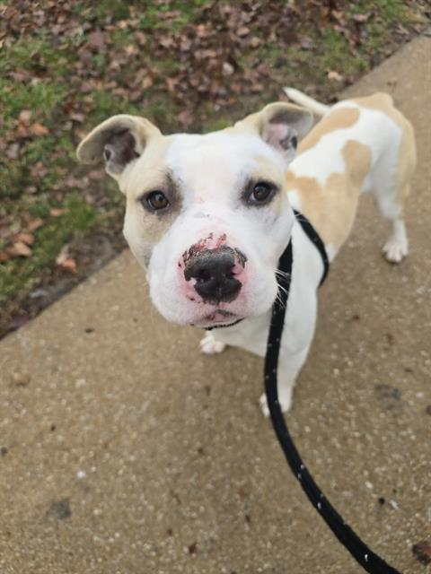 HERMEY — thumbnail 3