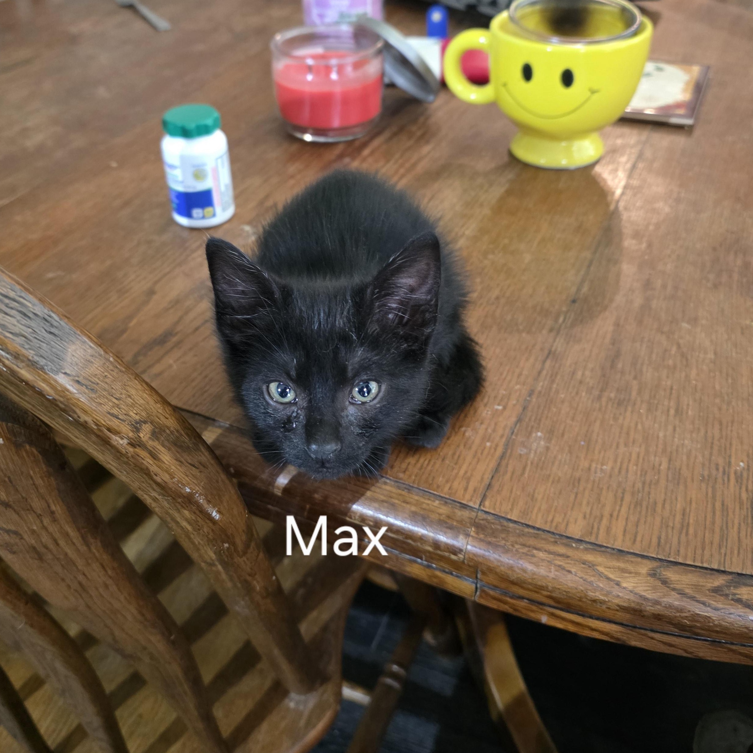 Max photo