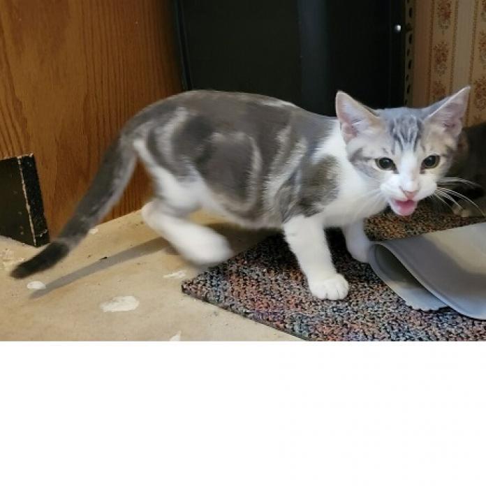 Marble — thumbnail 2