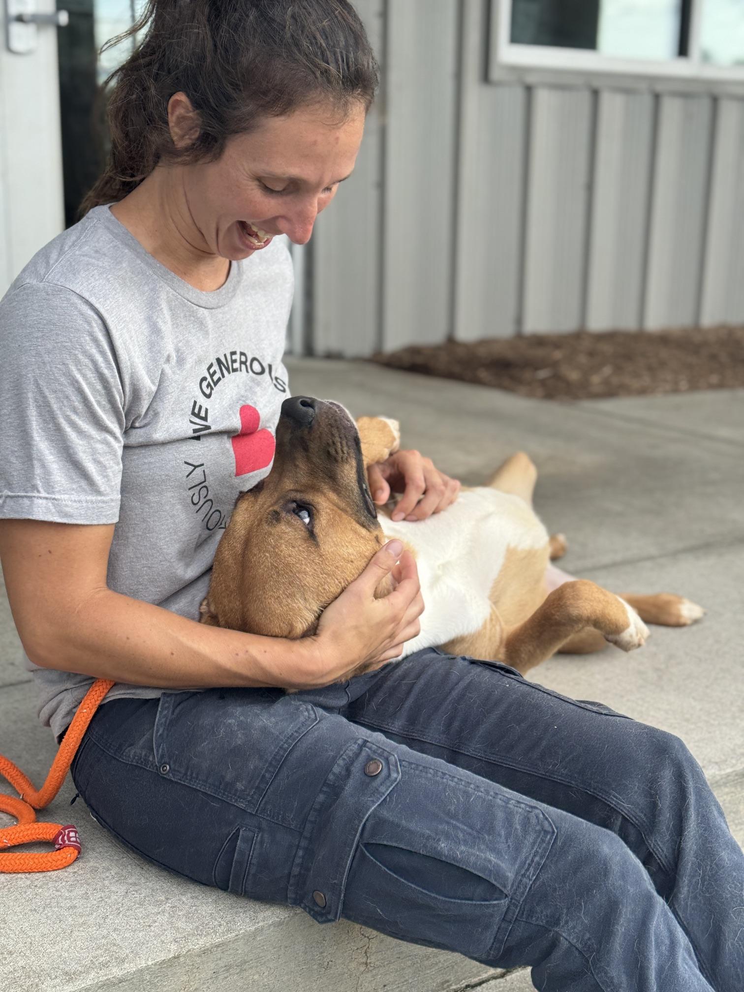 Enlarge Cruz, a Adoptable mixed breed in Benton Harbor, MI image 5/6
