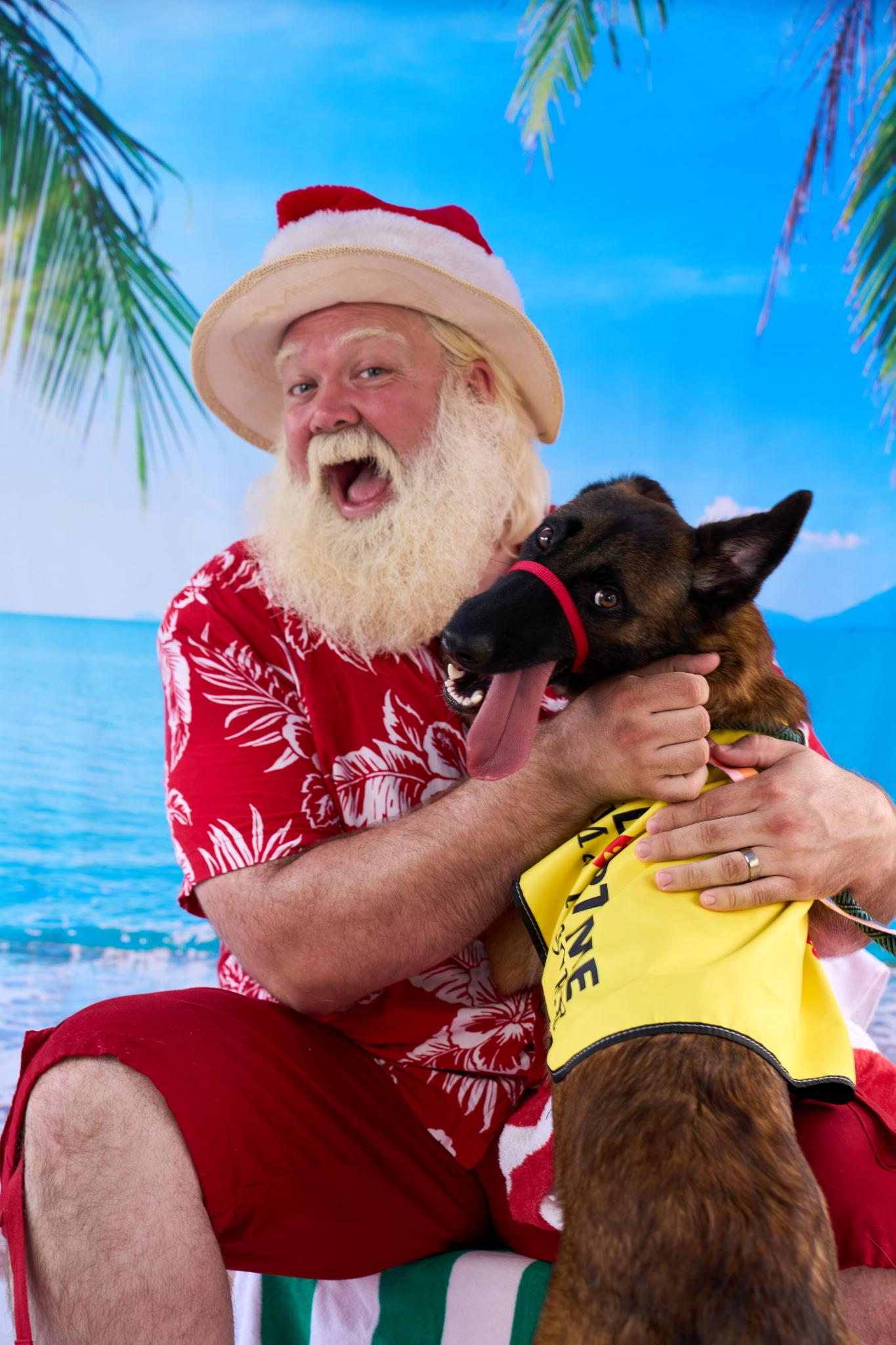 Rufus, an adoptable mixed breed in Maitland, FL image 1/6