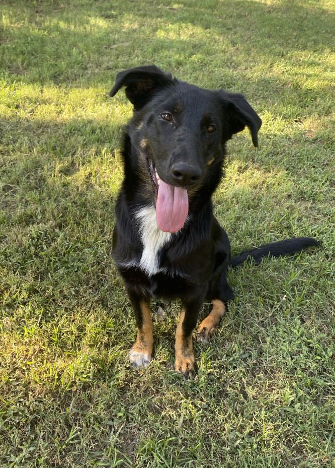 Maggie