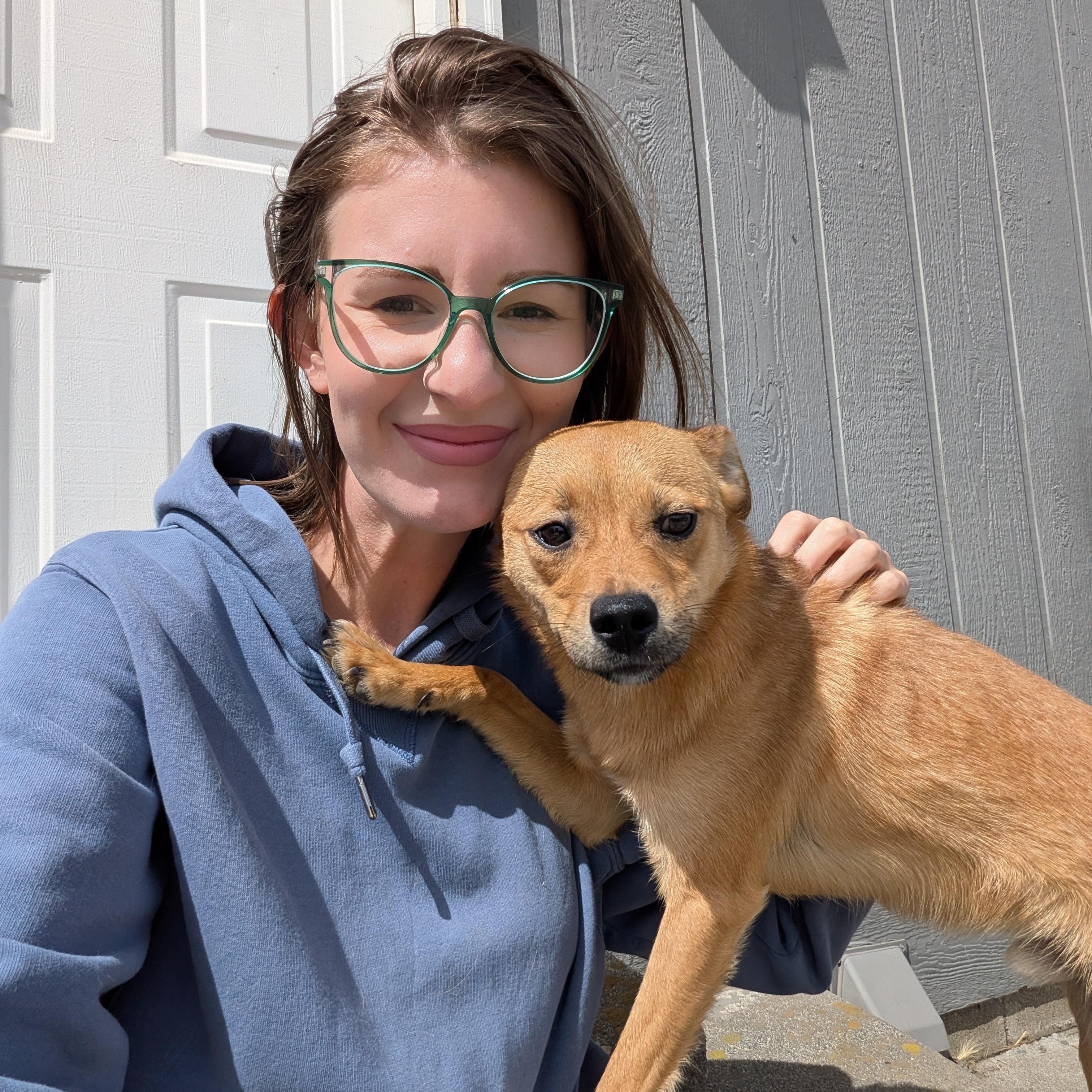 Enlarge Bear, a ADOPTABLE mixed breed in Hermiston, OR image 4/5