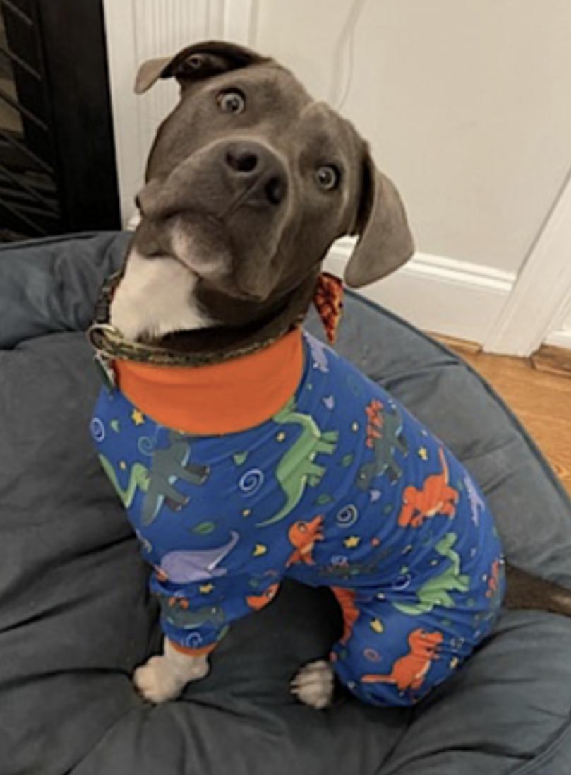 Norman — thumbnail 4