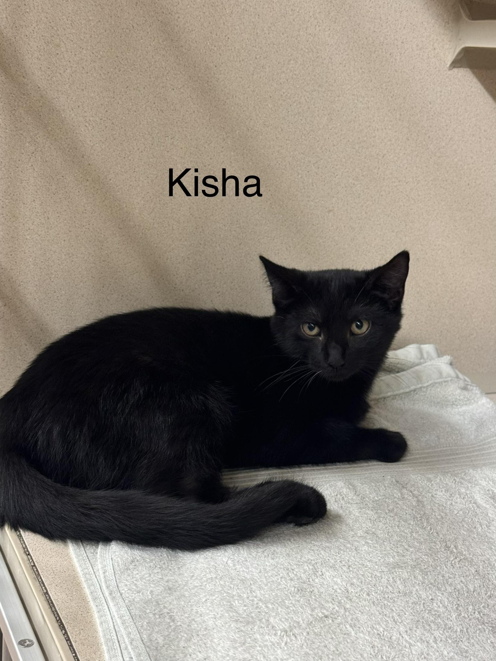 Kisha photo