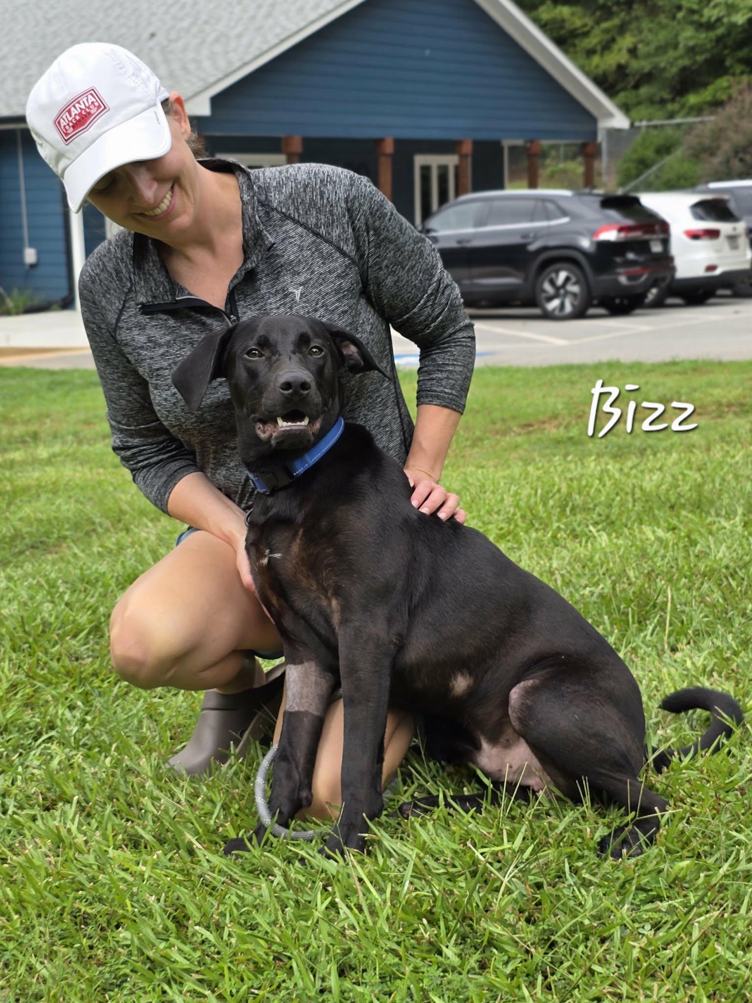 Enlarge Bizz, an adopted mixed breed in Bishop, GA image 2/3