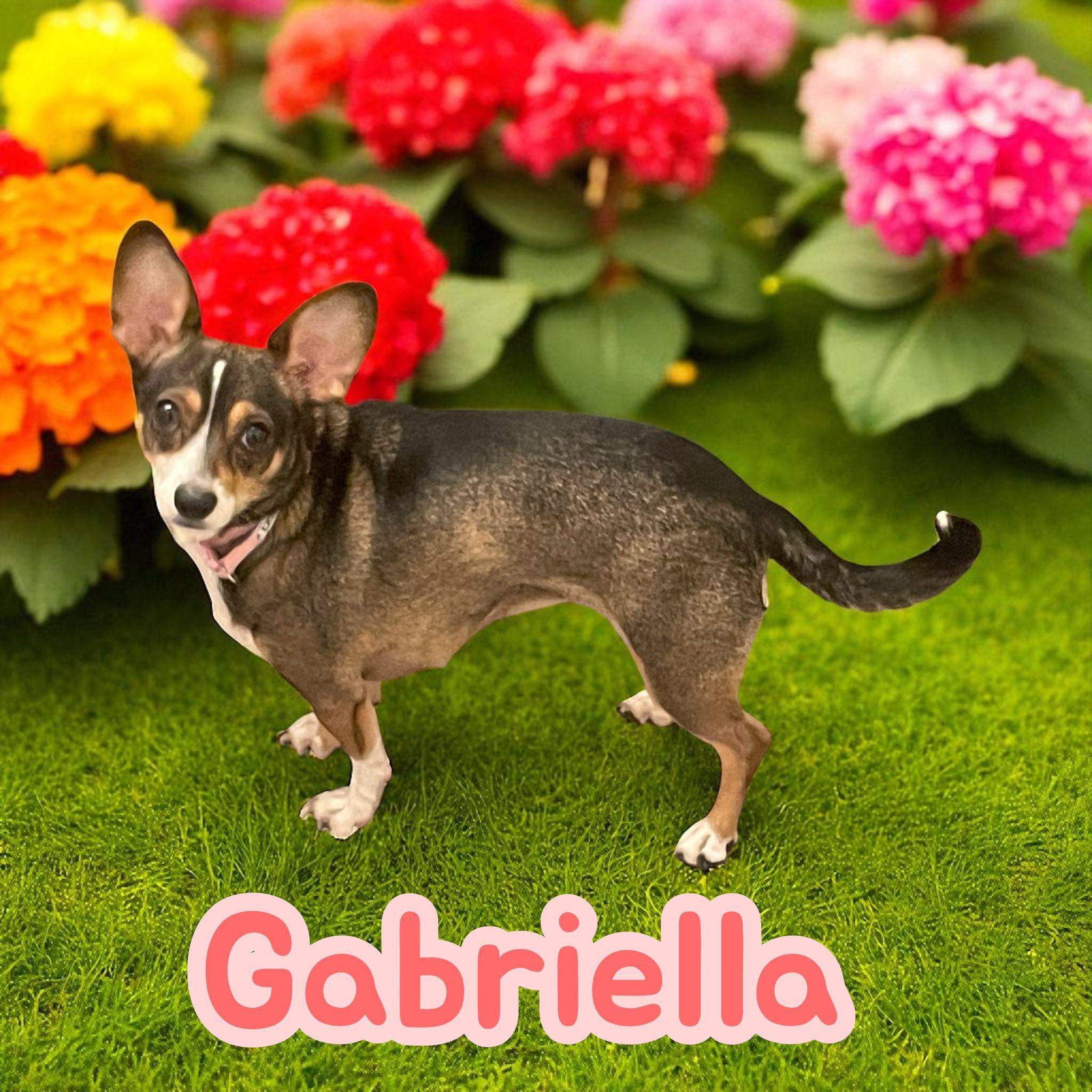 Gabriella
