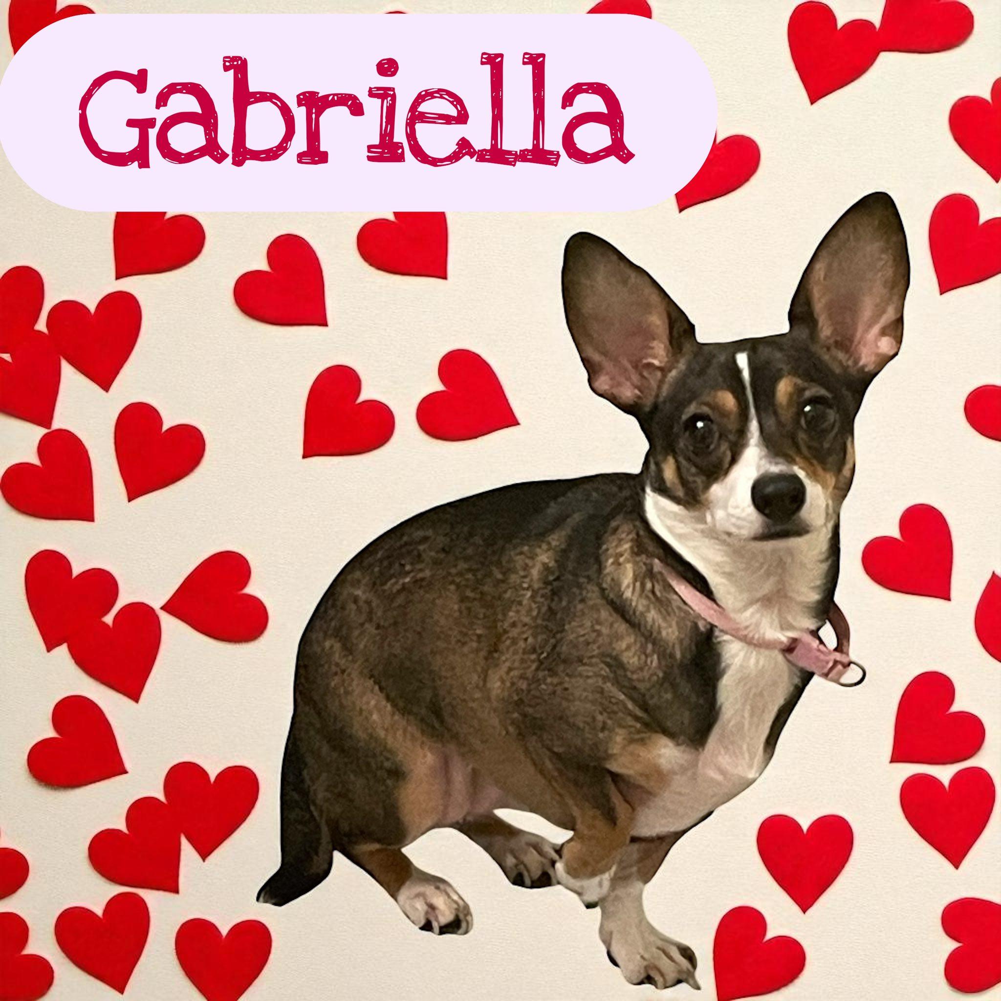 Gabriella